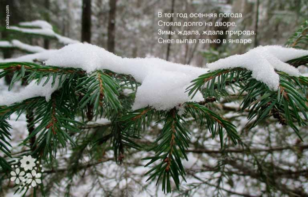Красивые стихи А.С. Пушкина про зиму для детей 3-4 класса