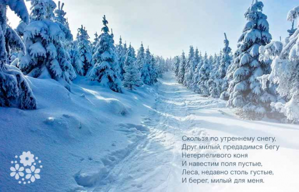 Стихи Александра Сергеевича Пушкина про зиму для детей 5-6 класса
