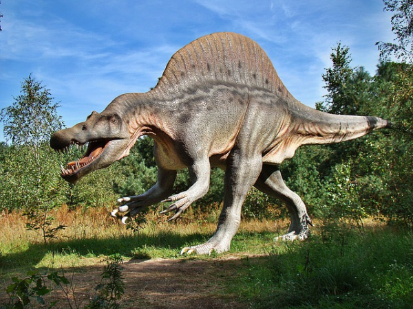 Динозавры  1