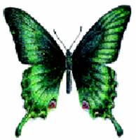 «Бабочки» (Модель 
