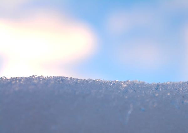 Чувства картины Цыплаков - Мороз и солнце от первого лица