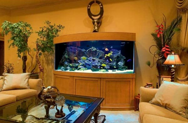 аквариум в доме