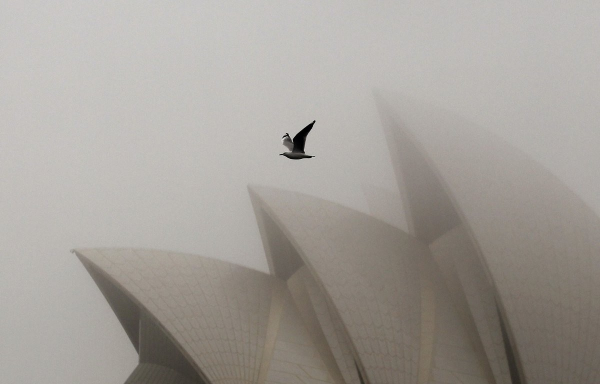 Сиднейский оперный театр по праву считается культовым представителем австралийской архитектуры  1