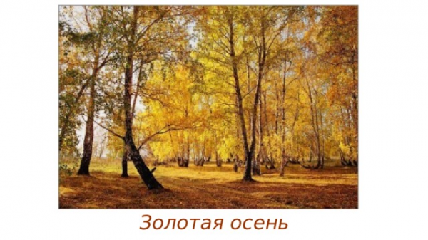 Золотая осень 