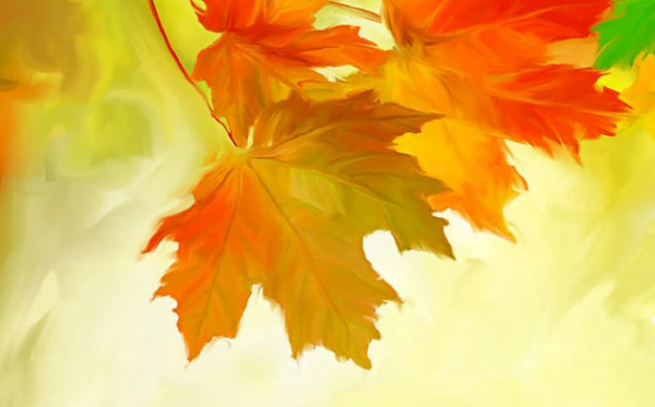 Осень. Осенний лист