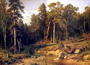 Описание картины И. И. Шишкина «Сосновый бор. Мачтовый лес в Вятской губернии»