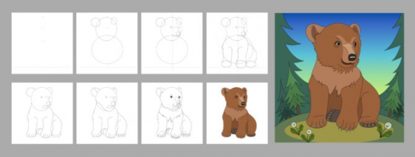 Как нарисовать медведя 1