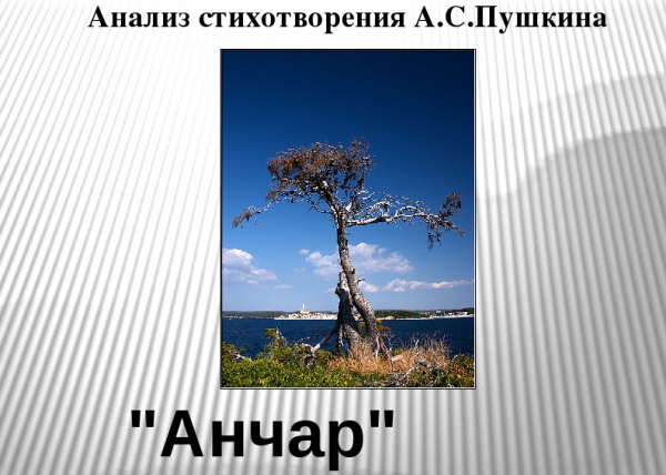 Анализ лирического стихотворения александра пушкина «анчар»