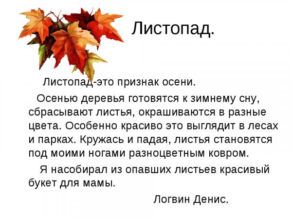 Осенний листопад 1
