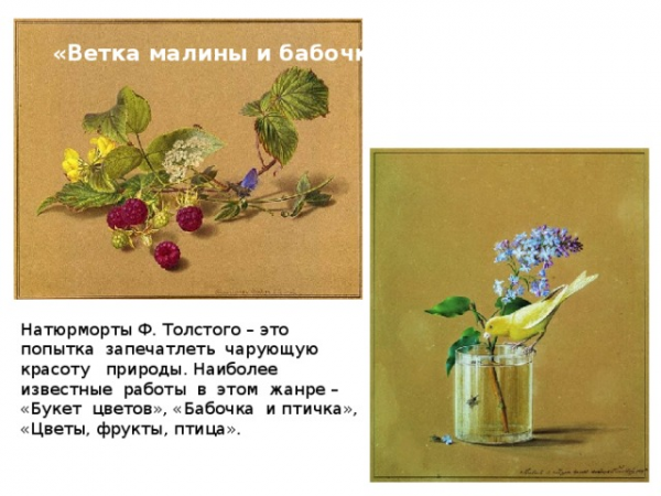 «Ветка малины и бабочка» Натюрморты Ф. Толстого – это попытка запечатлеть чарующую красоту природы. Наиболее известные работы в этом жанре – «Букет цветов», «Бабочка и птичка», «Цветы, фрукты, птица». 